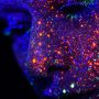 Weekly Watch August 19, 2025: AI in the Global Majority – Field Notes from the Front Lines